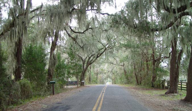 Williston, FL Painting Company